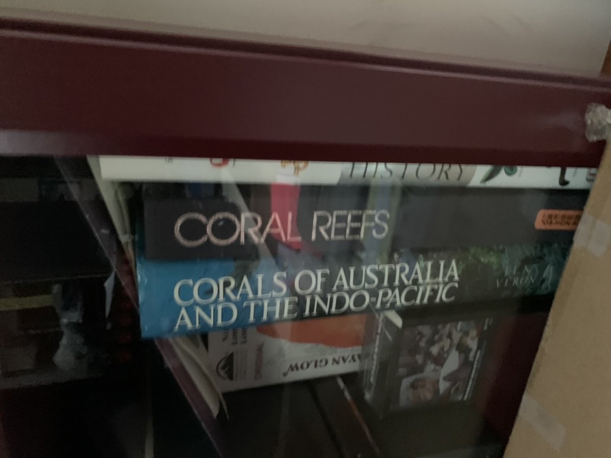 C237C082-D0C1-4E39-BC29-E7A57DA5C75D.jpeg