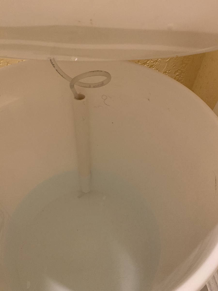 C265EAE4-CC0C-4AF6-8A3B-7AC1D79C67B5.jpeg