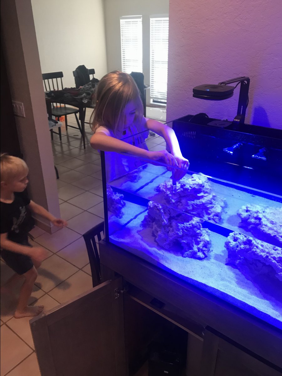 C272D003-CEE2-4391-89D2-EFC6292B364C.jpeg