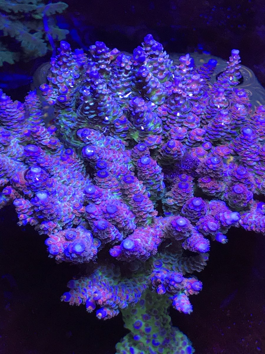 C276F956-EEC3-4594-80CD-7784AA051A47.jpeg