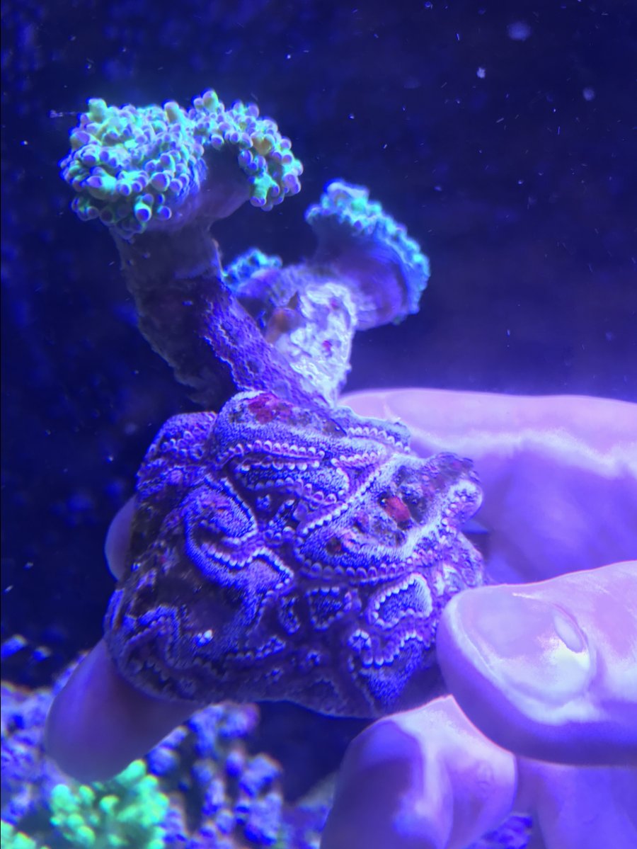 C2E69265-FE68-44B7-BDE9-E2A40ECEE140.jpeg