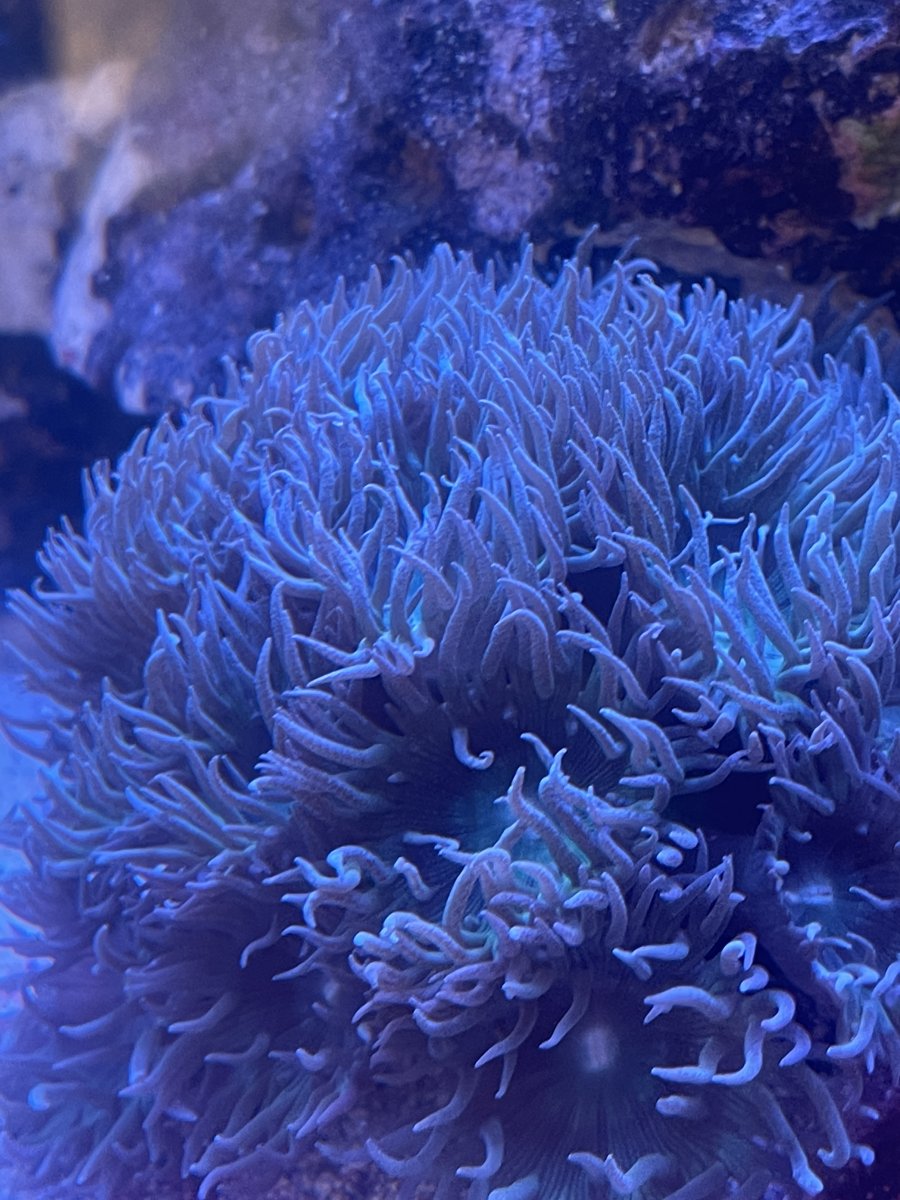 C31B2D71-A4FA-49A1-8A83-C3E9CC805078.jpeg
