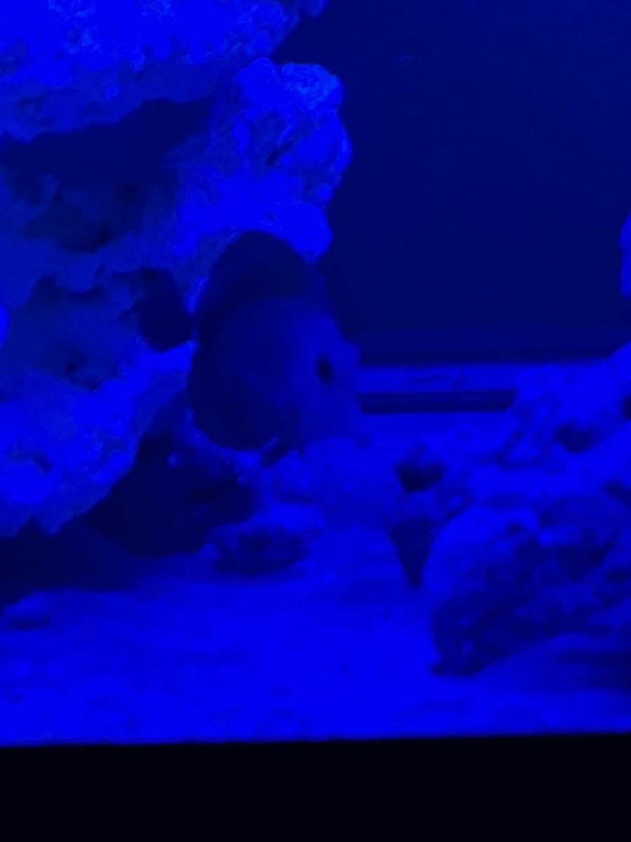 C39DEC7D-3984-47EA-8FE0-91BB87B1B338.jpeg