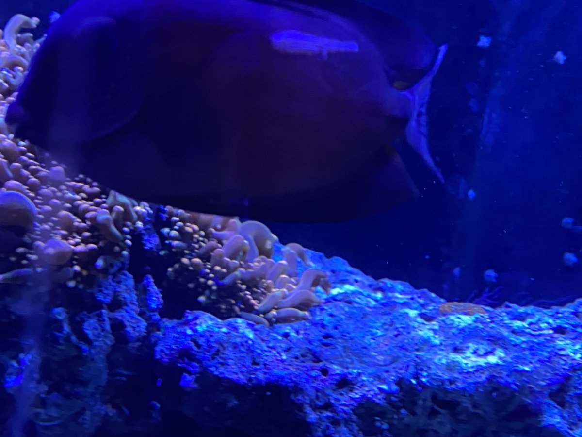 C3C9934B-BEFC-4295-A3A3-6D858D2C474A.jpeg