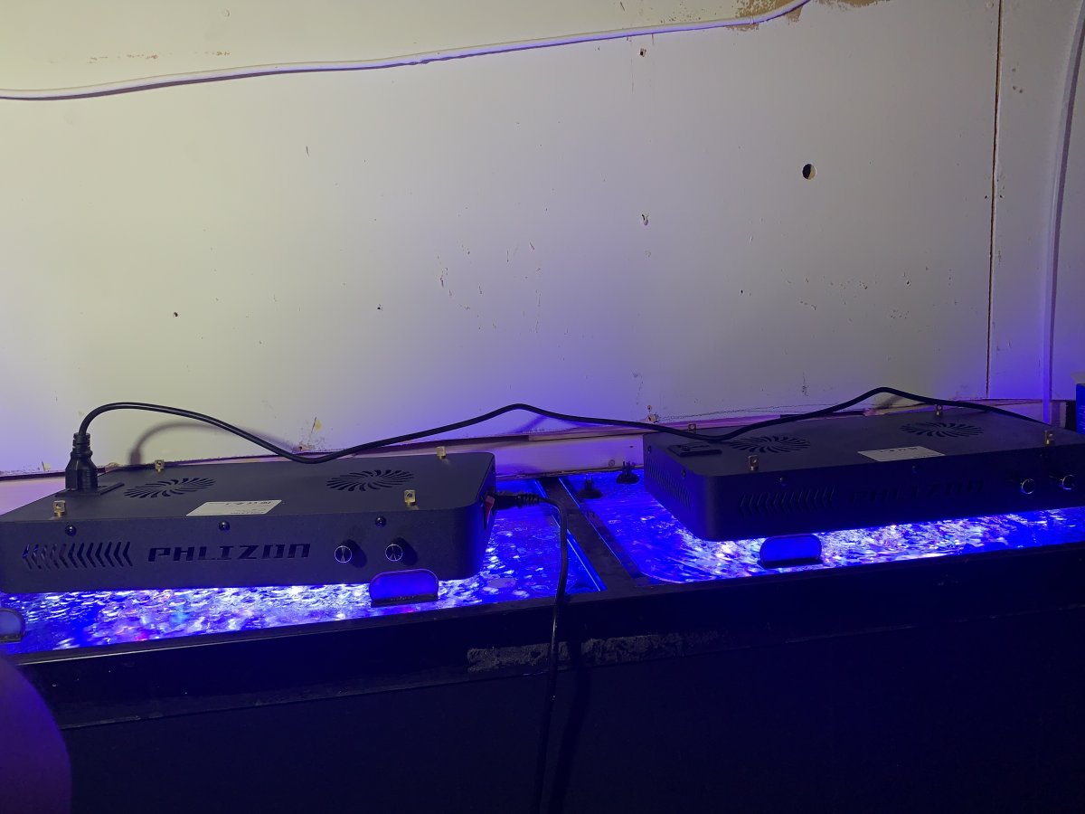 C3D4FFC5-E12C-4667-9578-7F384B7F07AB.jpeg