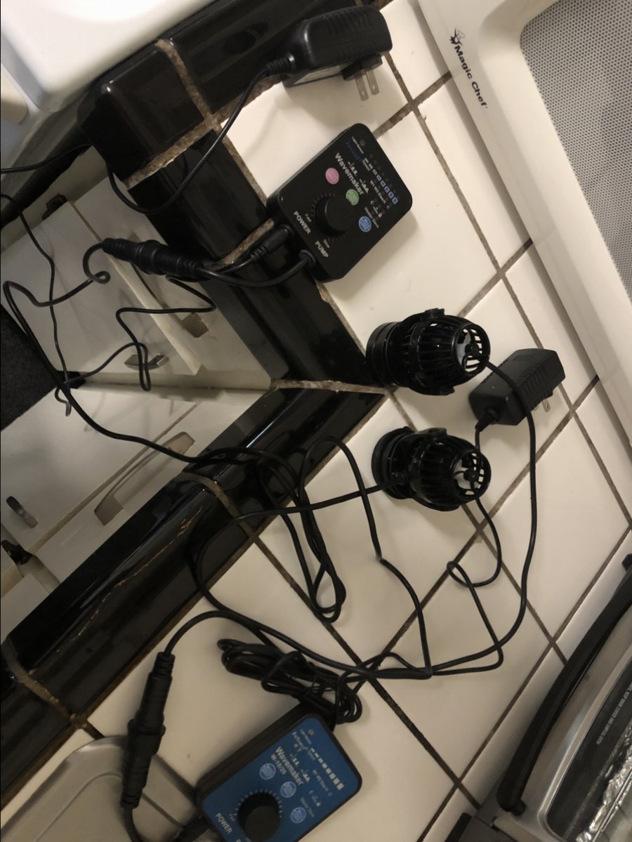 C42C9E2B-360A-4EFE-833C-ADEBBC02C623.jpeg