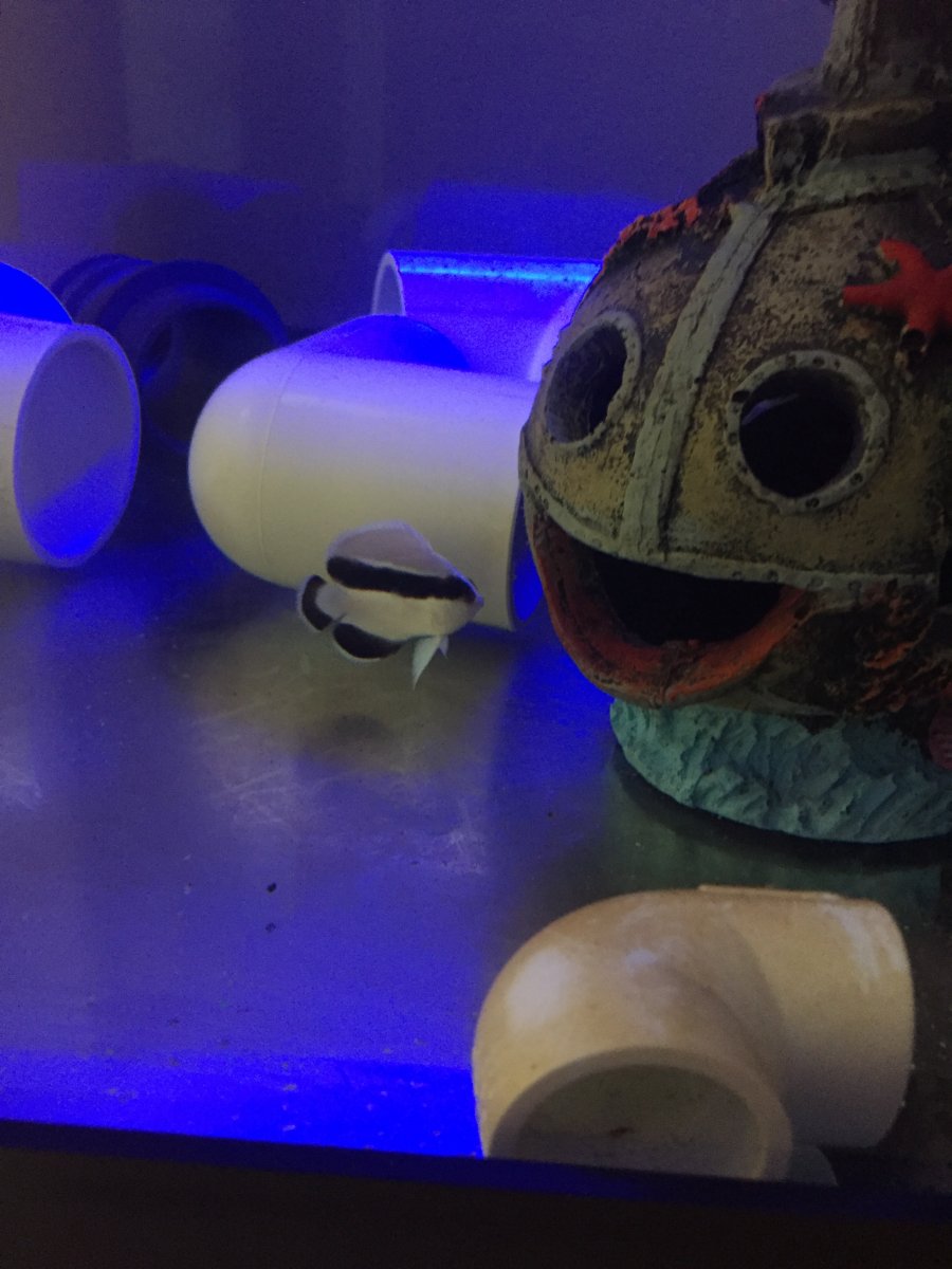 C4DCE879-E6AF-4354-BA0A-009473481713.jpeg