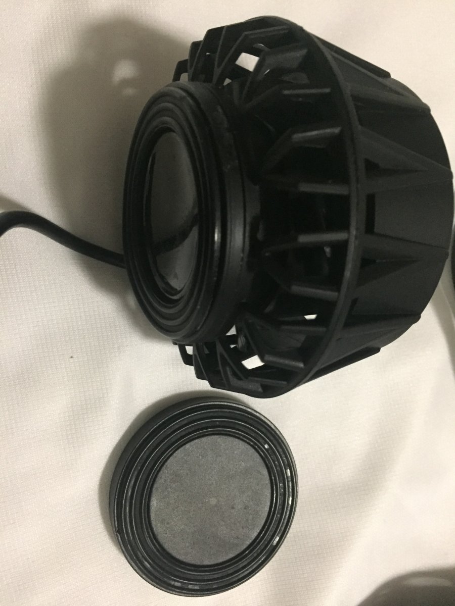 Wisconsin - Coral box rn-1 | REEF2REEF Saltwater and Reef Aquarium Forum