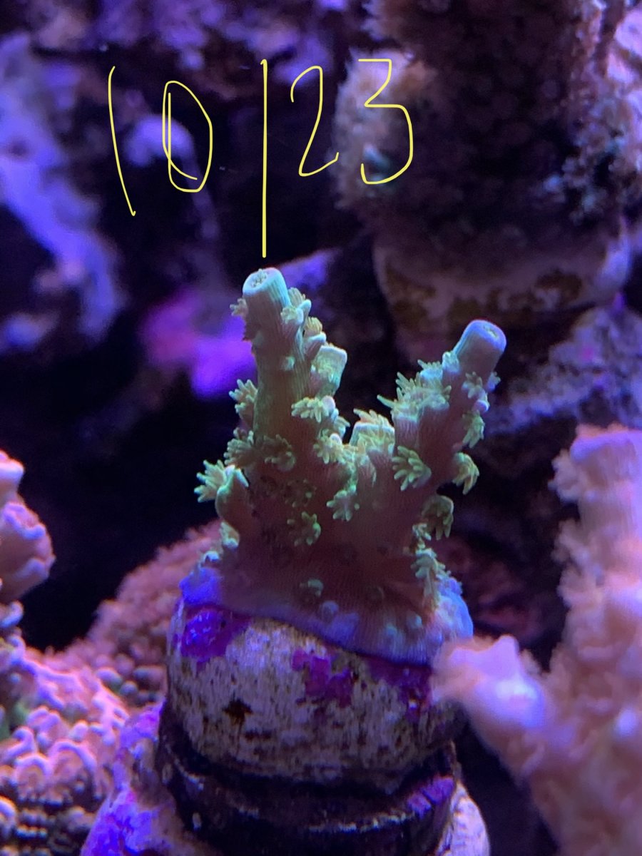 C54D0727-5EF8-4E8E-94E5-659A848616C5.jpeg