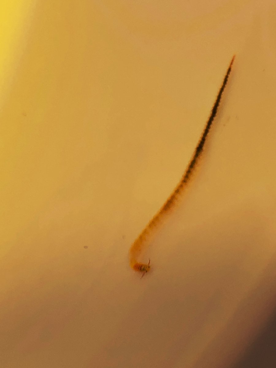 C55CA913-5A58-4542-A8F6-45EFBD9D3E2E.jpeg