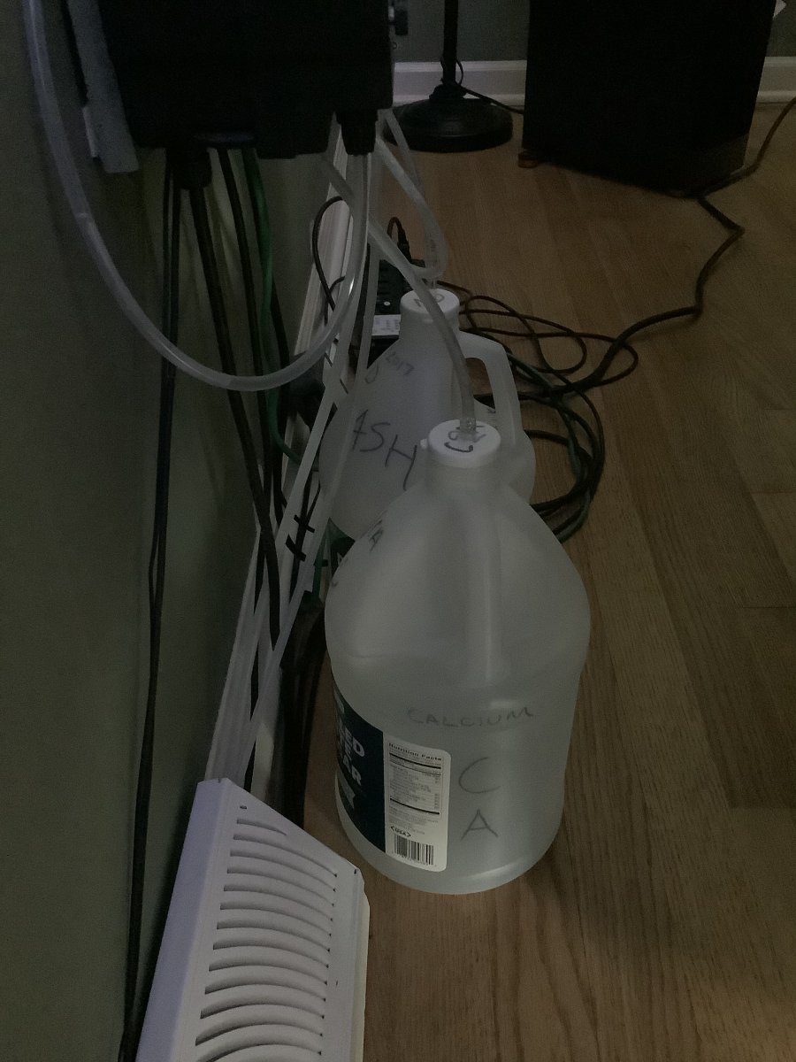 C57013E0-E452-4C12-9C9D-3F8C56CB3350.jpeg