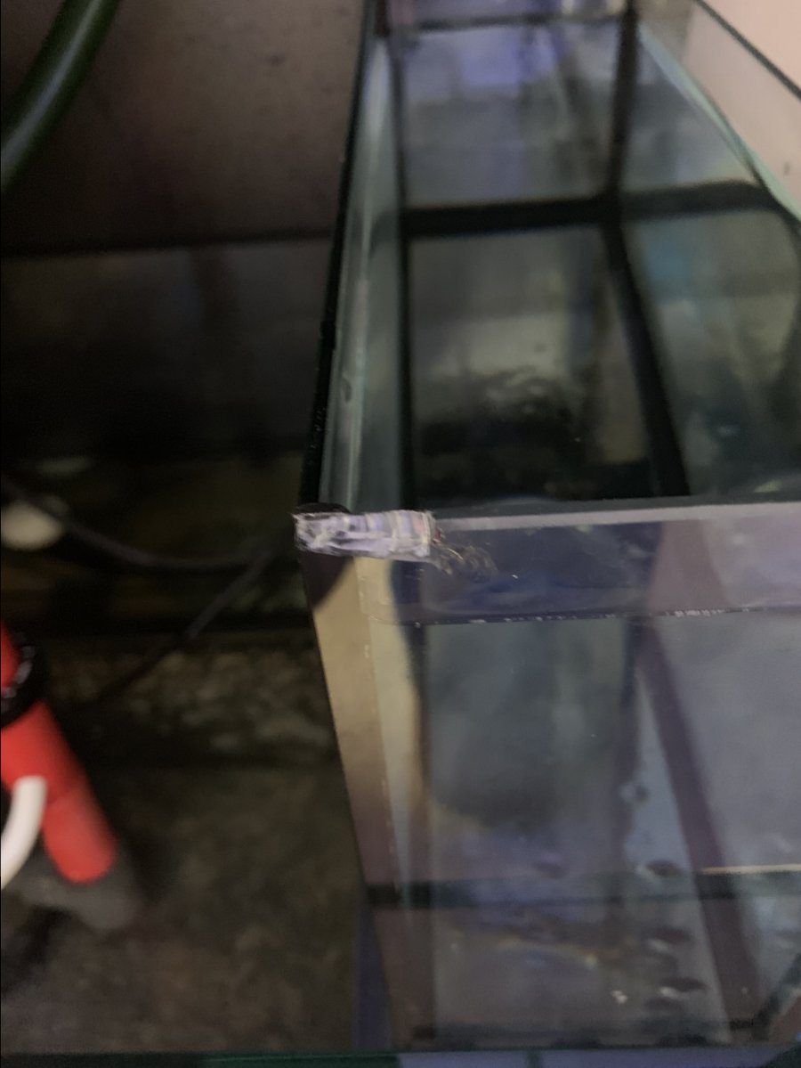 C58E8D99-3CE6-4C70-9836-2AA8D236C2CE.jpeg