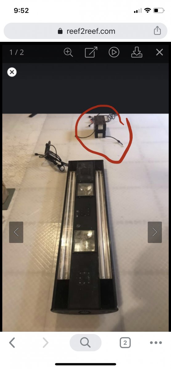 C6072F1F-1F3B-4FAE-974E-9B252A1231DA.jpeg