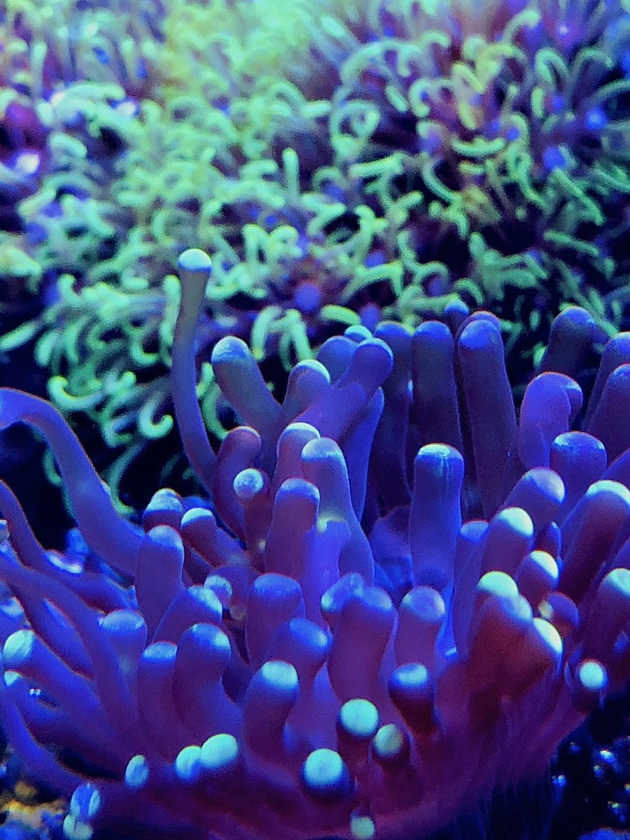 C6332841-1E31-4D9B-AD80-DBA18E16D43D.jpeg