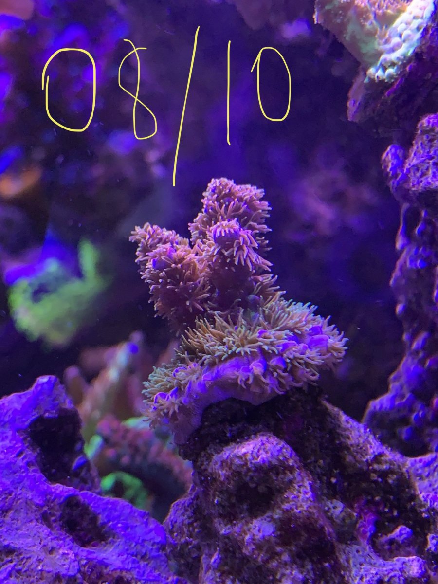 C74FBBA9-059B-46DC-A03D-D945CB591DF6.jpeg
