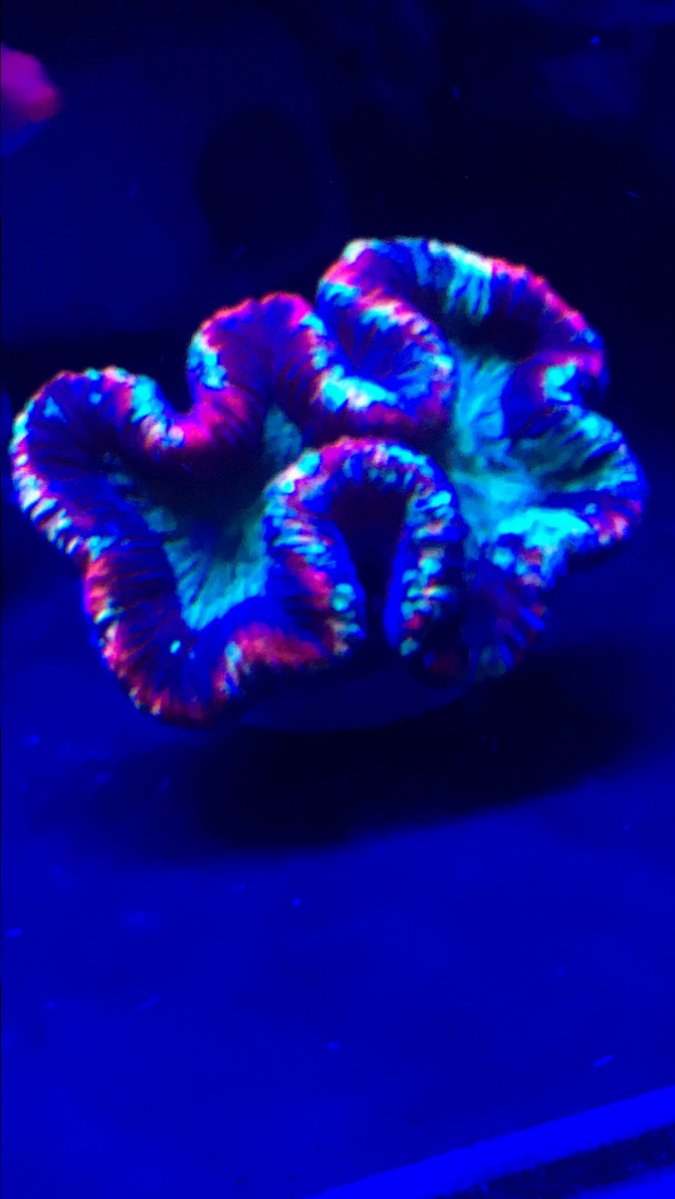 C75865E0-DF81-414E-8B20-0D72F01B1C41.jpeg