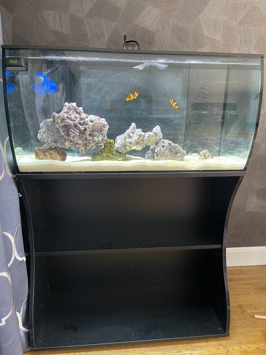 Fluval flex 123l sale