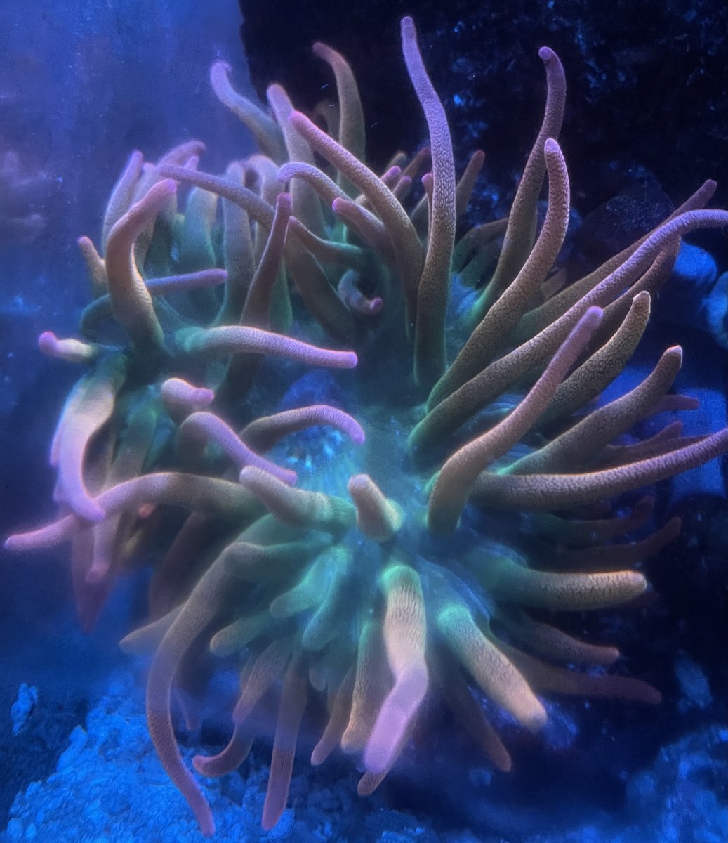 C7E6523D-1485-4E1A-B940-9DF7F7DF6F30.jpeg