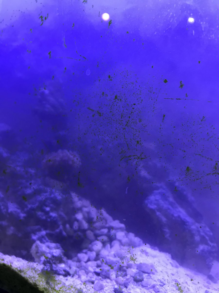 C84829FC-C47F-47AD-8535-DF323DC466BF.jpeg