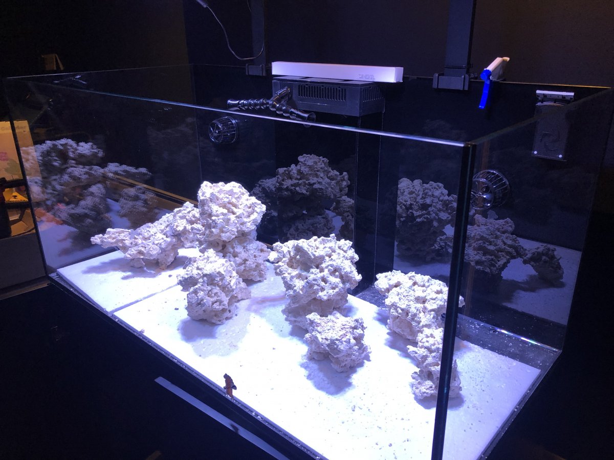 Build Thread - Just add water Red Sea 425 XL / WrasseTasic | Page 2 ...