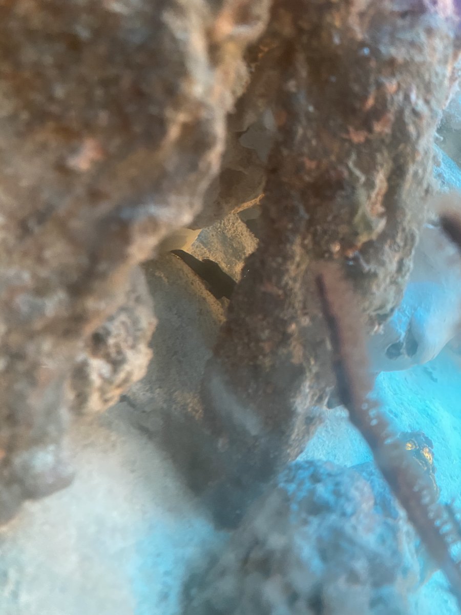 C992836A-5265-4BBB-A3C3-BB4ABA94B91D.jpeg