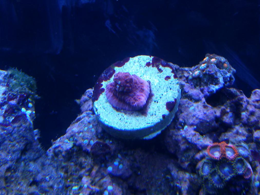 CAM00260.jpg