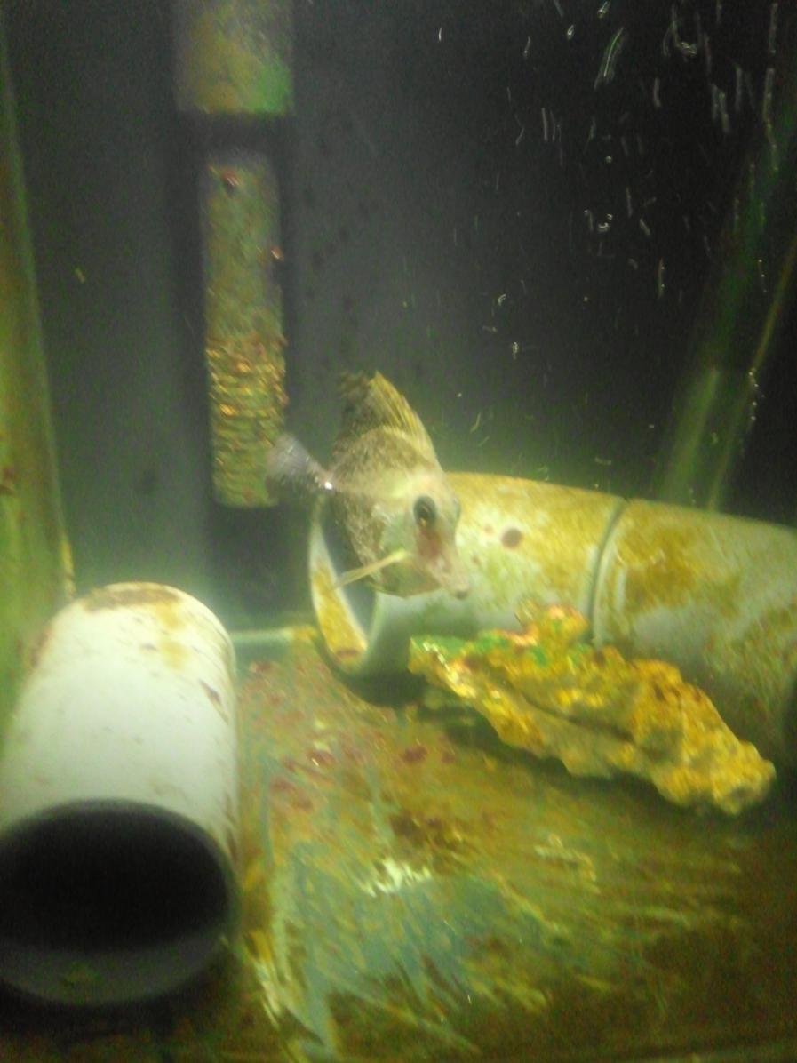CAM07688.jpg