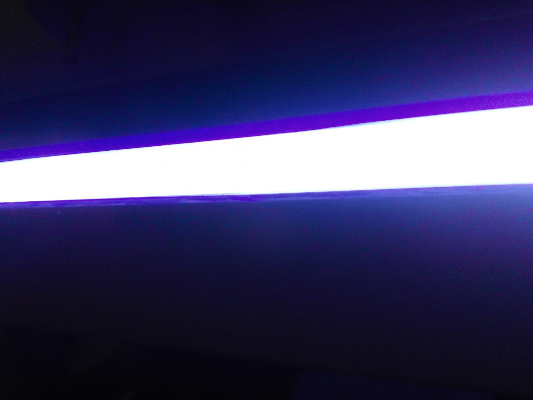 CAM10707.jpg