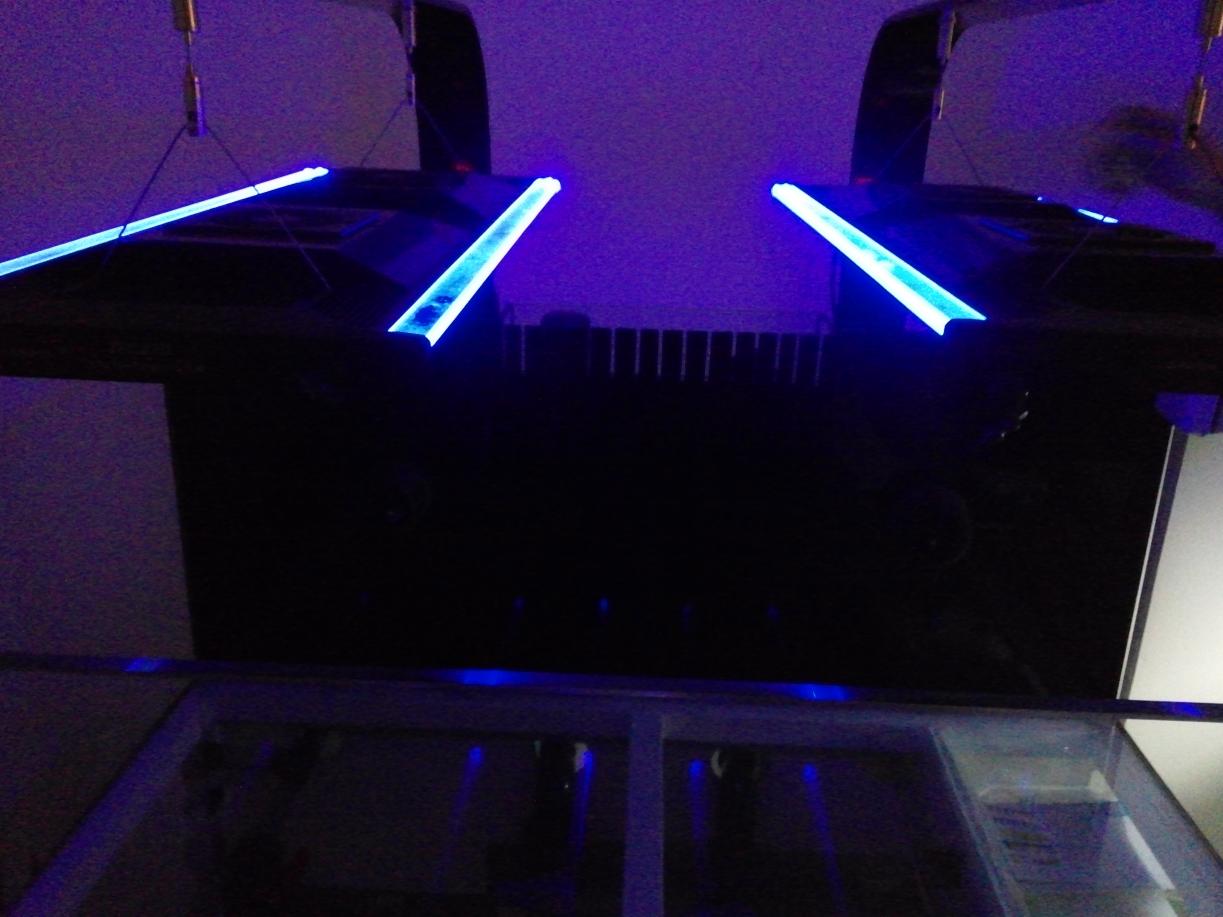 CAM11541.jpg