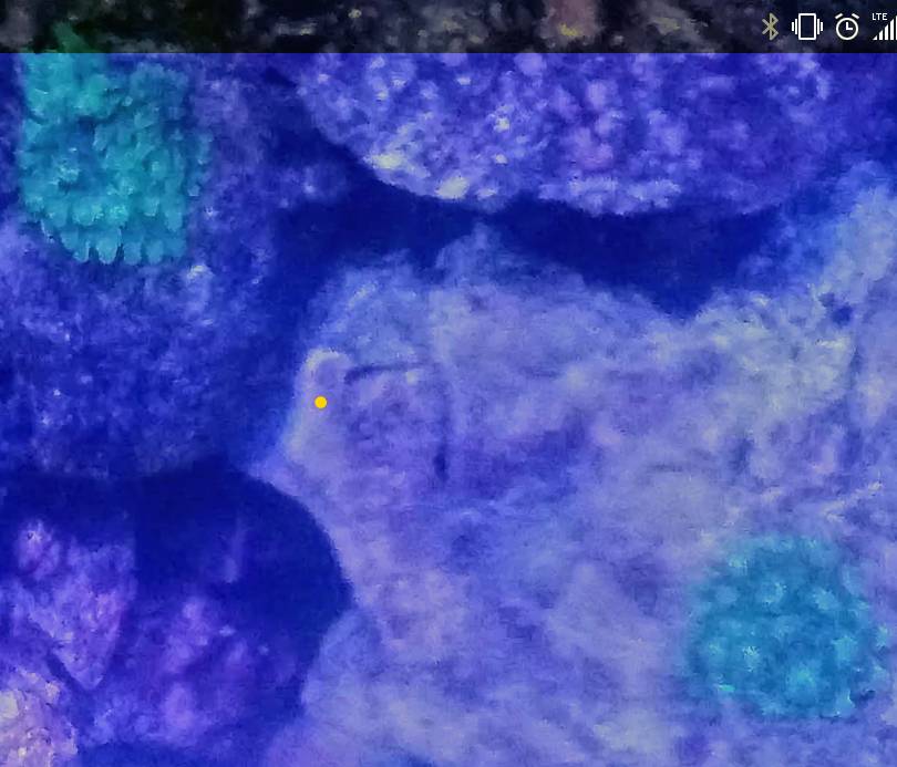 Capture%2B_2019-05-18-07-25-13~2.jpeg