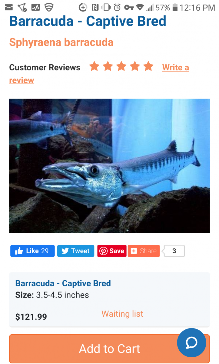 Barracuda to get their own Tank