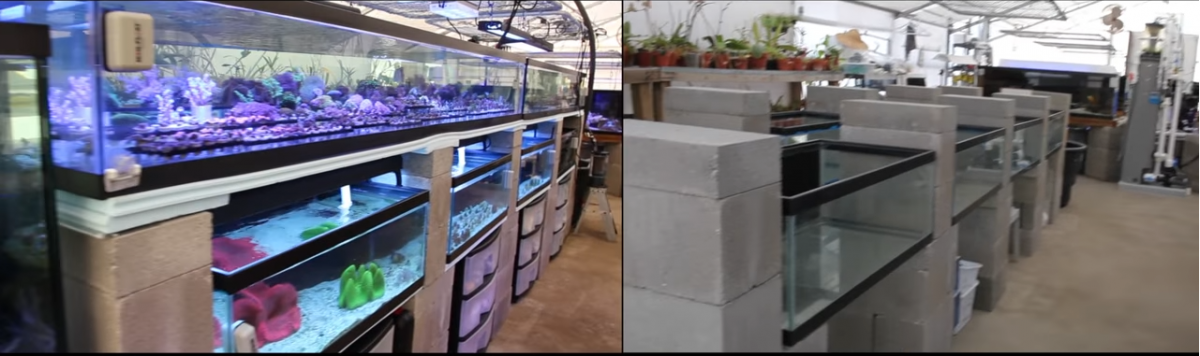 Cinder block tank stand | REEF2REEF Saltwater and Reef Aquarium Forum