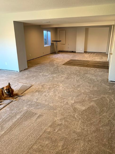 Carpet 2.JPG