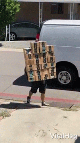 carrying-boxes-viralhog.gif