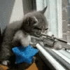 cats-sniper.gif