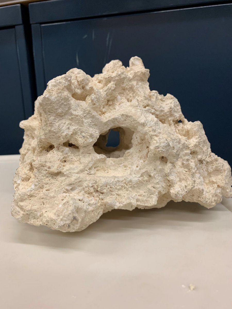 cave.jpg