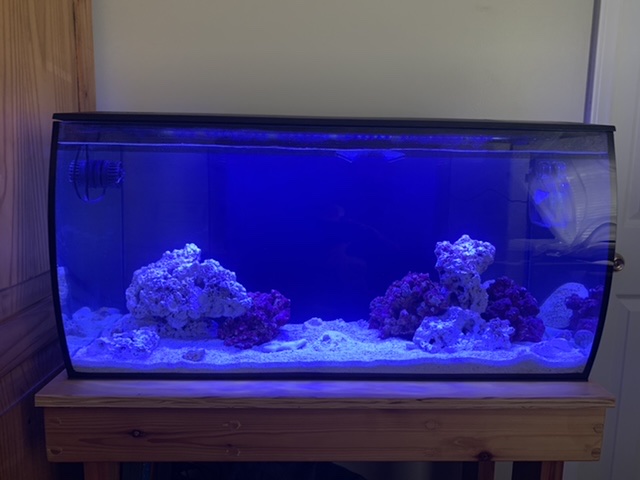 Fluval sales flex saltwater