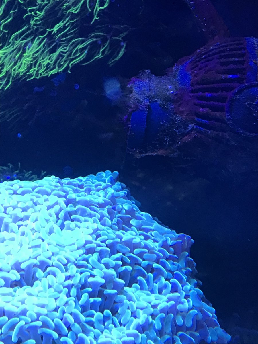 CC0958FD-42E4-41D8-9D2B-E38C208488F2.jpeg