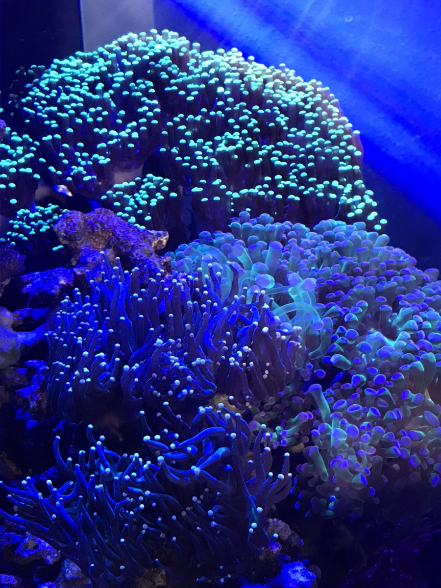 CC17C658-A721-4A75-A6A6-1F5AA24DAE3F.jpeg