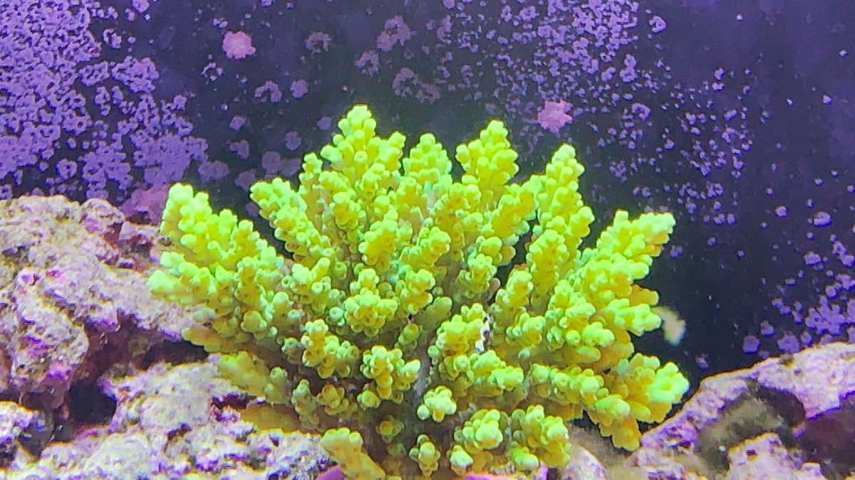 CCB550E4-7782-4323-A4C3-DCDFA949EBA2.jpeg