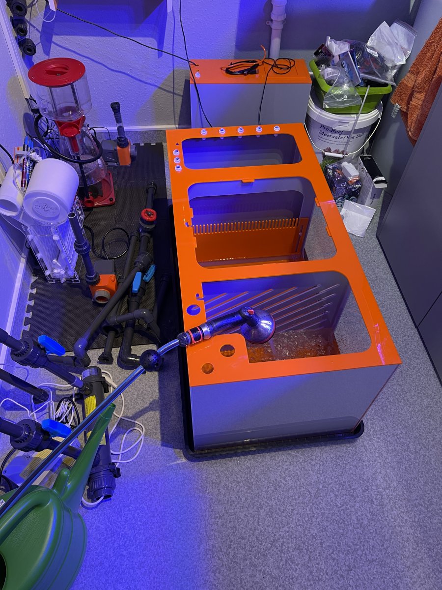 Build Thread - A unique Reefer 300XL build (Remote sump) | Page 4 ...