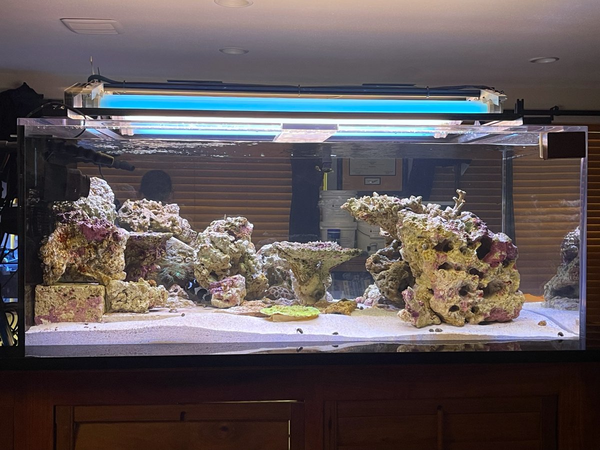 How many of you have a build thread going? Post your favorite photo of ...
