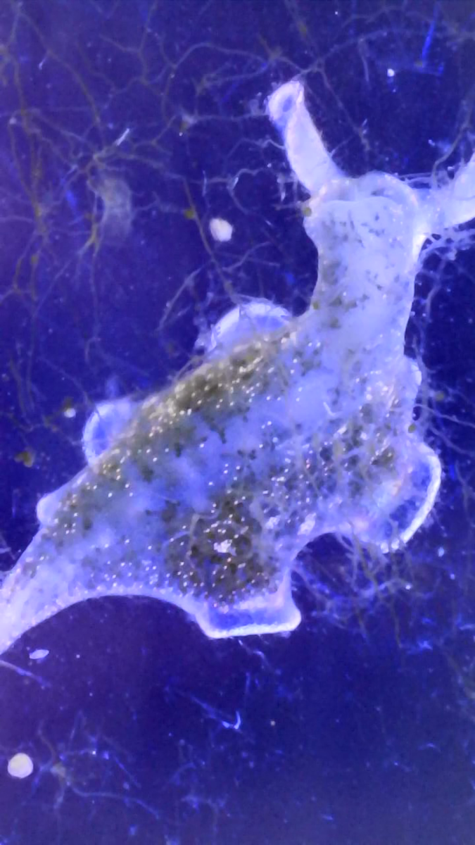 ce66921b-a2fa-48cd-a970-e7124a238445.png