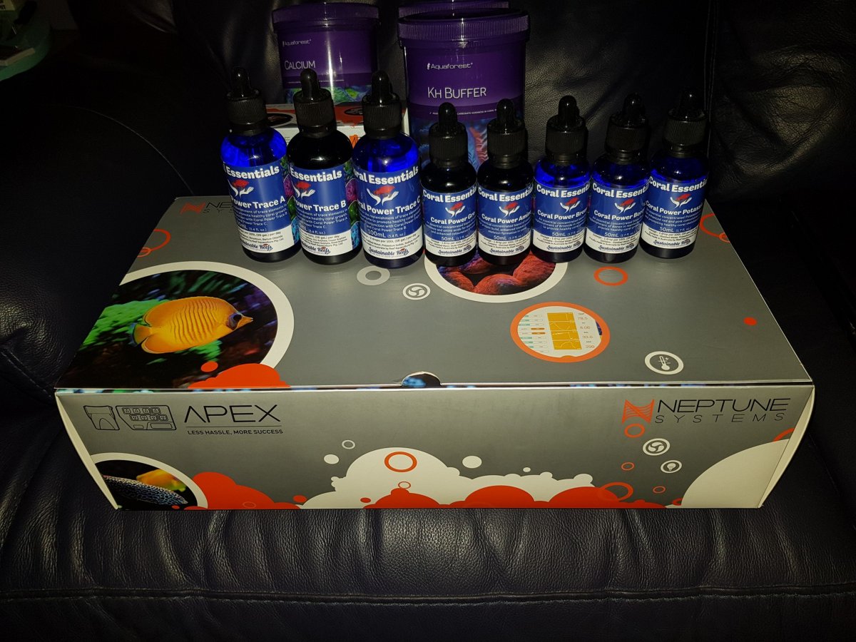 CEapex.jpg