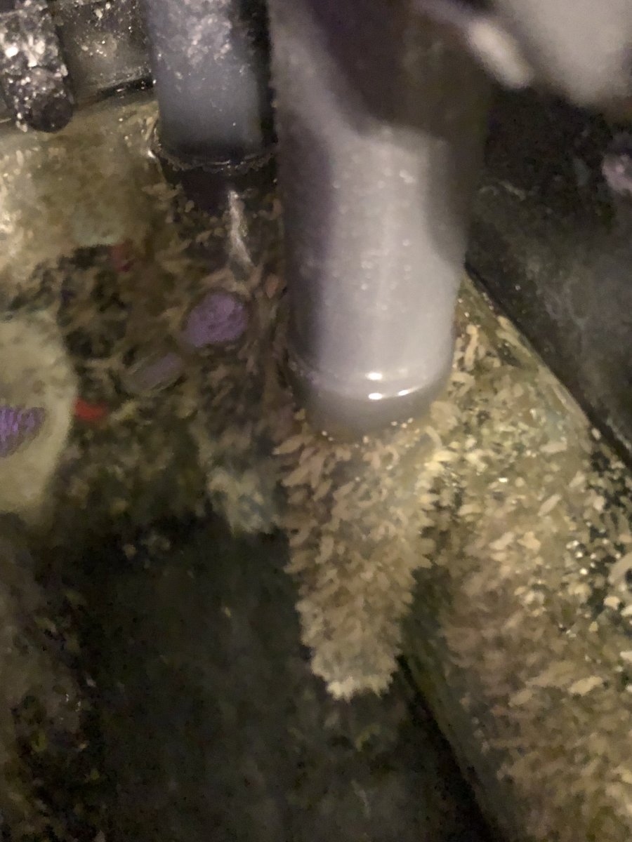 CEED181E-5CB3-4821-8FC0-3C6315F2E8E5.jpeg