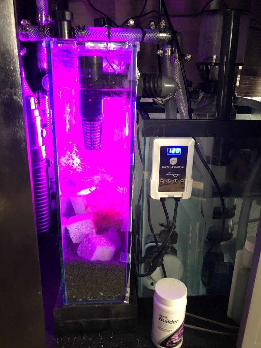 AR-Pro Refugium A Add On Refugium / Mud Filter 15″ x 5″ x 18 1/4 ...