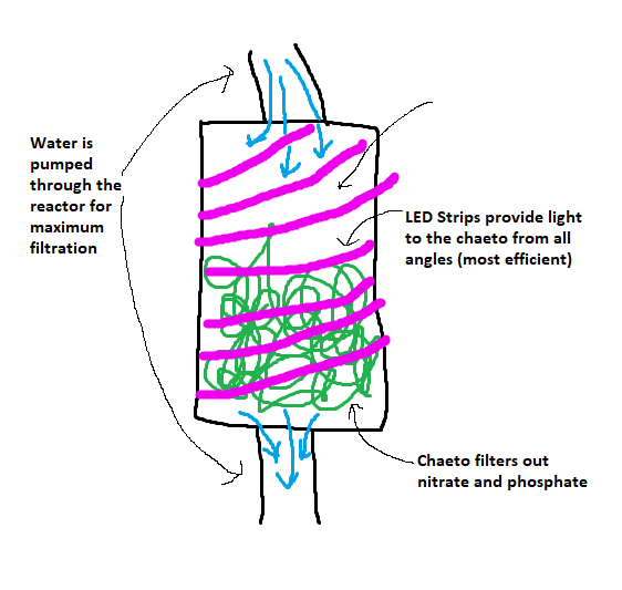 chaeto reactor.png