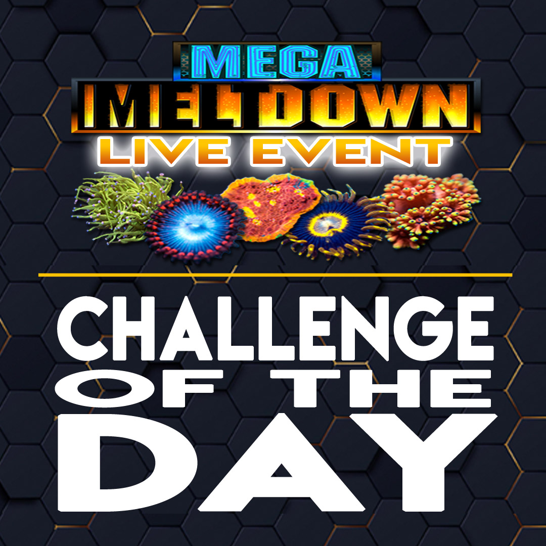 Challenge.jpg