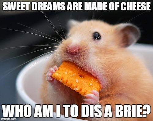 CheesyMouse.jpg