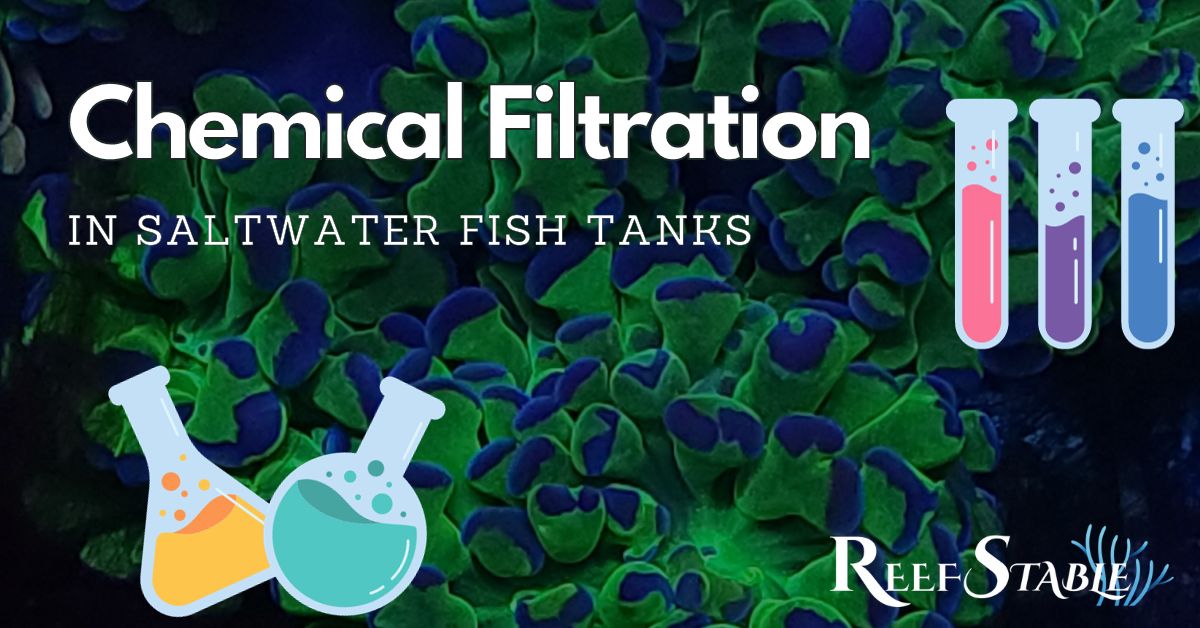 chemical-filtration-for-saltwater-aquariums.jpg